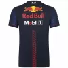 Red Bull F1 Shirt 2023 - f1store