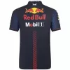 Oracle Red Bull F1 Racing Team Polo 2023 - f1store